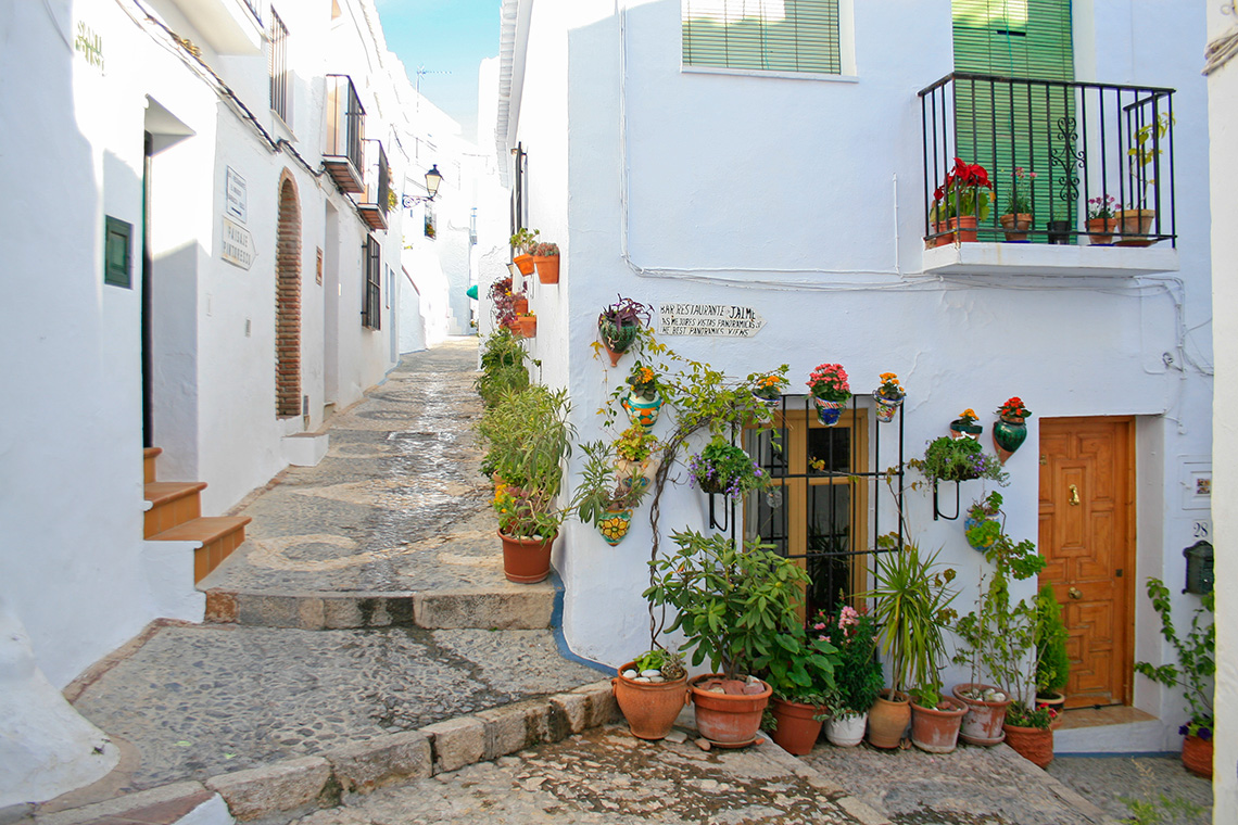 Plantas y flores Frigiliana - Andalucía Simple - Axarquía Costa del Sol